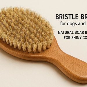 4 Bristle Brush for Dogs and Cats Natural Boar Bristles for Shiny Coats